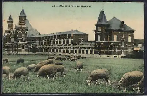 AK Bruxelles, Tir National