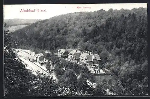 AK Alexisbad /Harz, Hotel Försterling