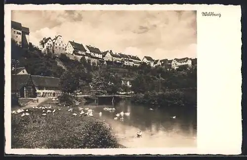 AK Wildberg / Württ., Stadt- und Uferpartie