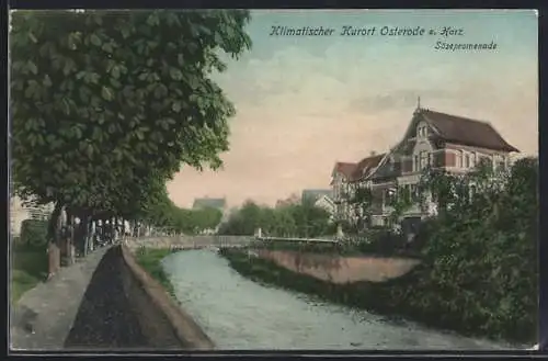 AK Osterode a. Harz, Sösepromenade mit Flusspartie