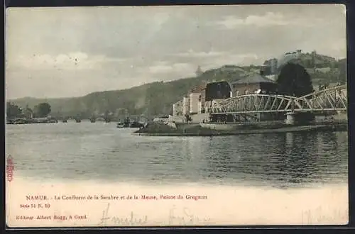 AK Namur, Le Confluent de la Sambre et de la Meuse, Pointe du Grognon