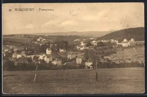 AK Walcourt, Panorama