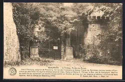 AK Beauraing, Le Château de Ruines