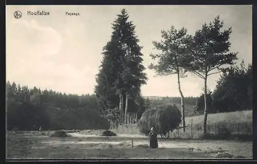 AK Houffalize, Paysage