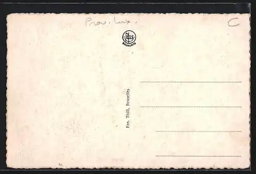 AK Carlsbourg, Vue de l'Est, Teilansicht aus der Vogelschau