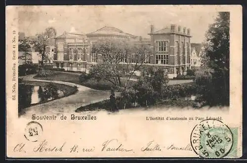 AK Bruxelles, L`Institut d`anatomie au Parc Léopold