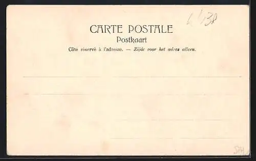 AK Wavre N. D., Etablissement des Ursulines, vue prise du bosquet