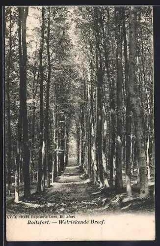 AK Boitsfort, Welriekende Dreef