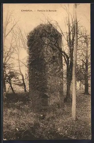 AK Cambron, Fontaine St. Bernard