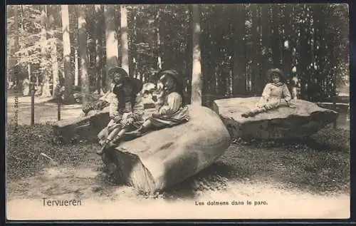 AK Tervueren, Les dolmens dans le parc