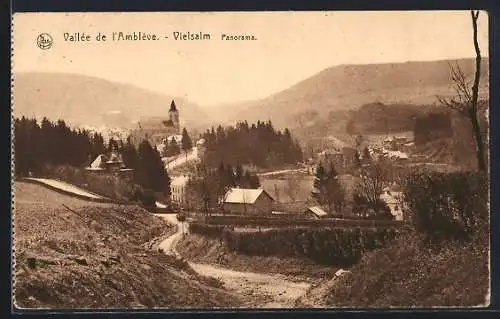 AK Vielsalm, Vallée de l`Amblève, Panorama