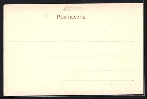 AK Nürnberg, Frauenthor mit Brücke