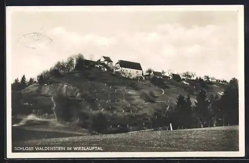 AK Waldenstein /Wieslauftal, Blick auf das Schloss