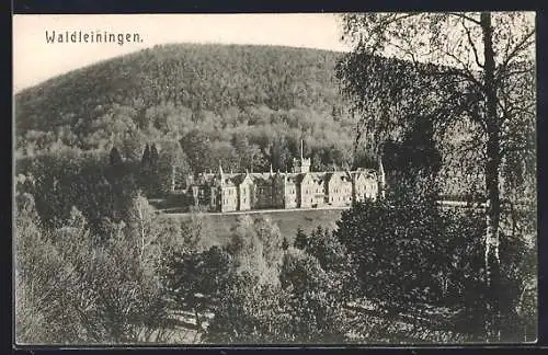 AK Waldleiningen / Odenwald, Blick zum Schloss Waldleiningen