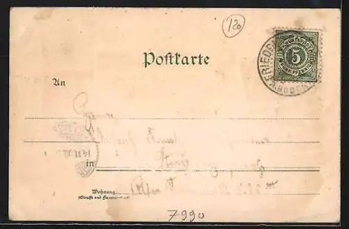 Lithographie Friedrichshafen, Hafenpartie, die Nikolauskirche, Kurhaus, Hotel Deutsches Haus, Paulinenstift
