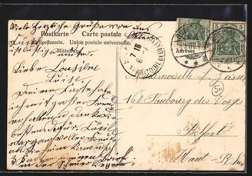 AK Breisach, Totalansicht mit Schiffbrücke