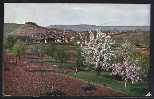 AK Weinsberg, Gesamtansicht mit der Weibertreu