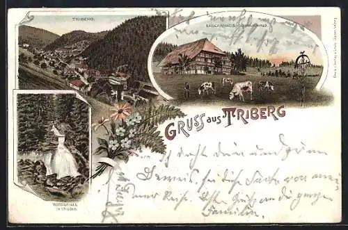 Lithographie Triberg, Wasserfall, Bauernhaus und Gesamtansicht