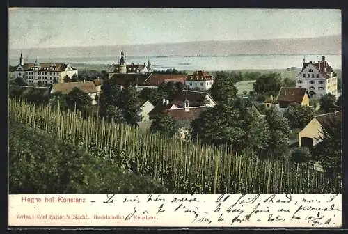 AK Hegne bei Konstanz, Gesamtansicht