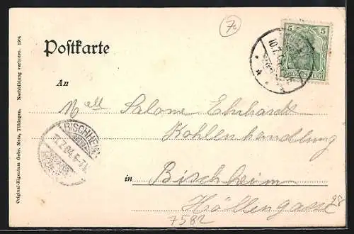 AK Oberbühlertal, Hotel-Kurhaus Schindelpeter, Ortspanorama