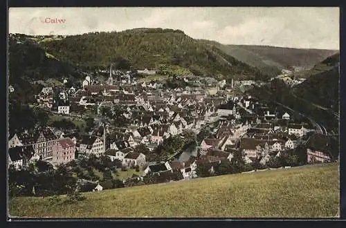 AK Calw, Totalansicht aus der Vogelschau
