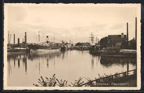AK Odense, Havneparti