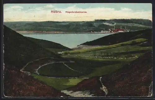 AK Hobro, Hegedalsbakkerne