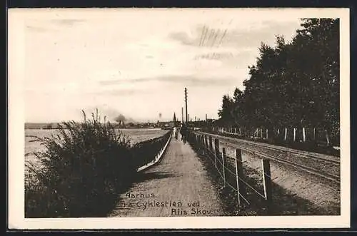 AK Aarhus, Fra Cyklesien ved Aiis Skov