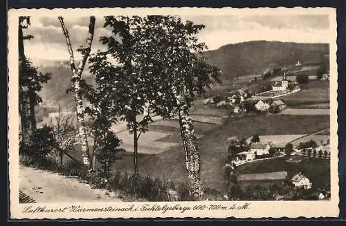 AK Warmensteinach i. Fichtelgebirge, Blick auf den Ort mit Birken