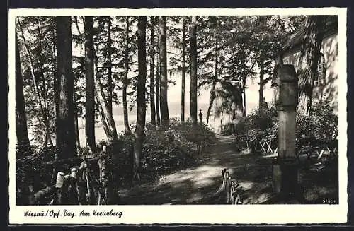 AK Wiesau /Opf., Am Kreuzberg