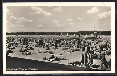 AK Berlin, Strandbad Wannsee mit Badegästen