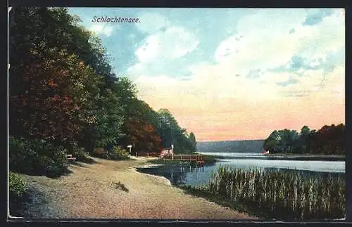 AK Berlin, Schlachtensee mit Uferpartie