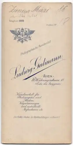 Fotografie Ludwig Gutmann, Wien, Hubert Marischka und Mizzi Zwerenz in tanzender Pose