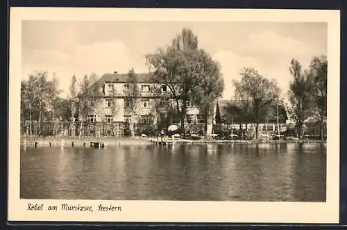 AK Röbel a. Müritzsee, Seestern