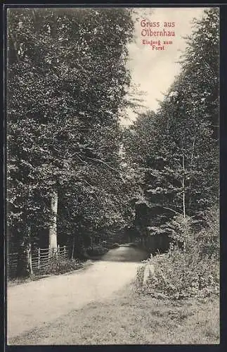 AK Olbernhau, Eingang zum Forst