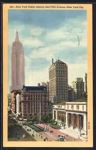 AK New York, NY, Public Library and Fifth Avenue