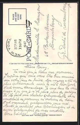 AK New York, NY, Public Library and Fifth Avenue