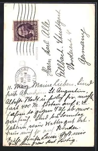 AK Coconut Grove, FL, Sausage Tree