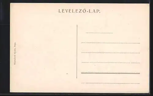 AK Baja, Városháza