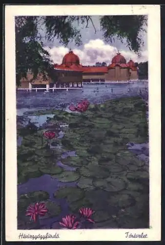 AK Héviz, Tórészlet