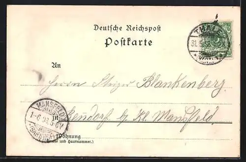 Lithographie Thale, Hotel zur Rosstrappe, Winzenburg, Teufelsbrücke, Wanderer und seine Frau, stürzender Reiter