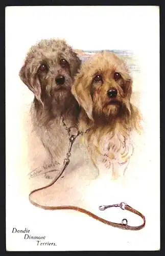 Künstler-AK Dandie Dinmont Terriers