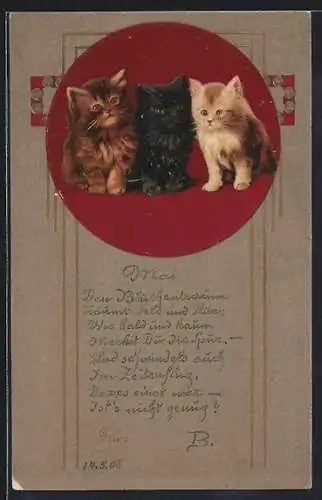 Präge-AK Drei süsse Katzen, Jugendstil-Rahmen