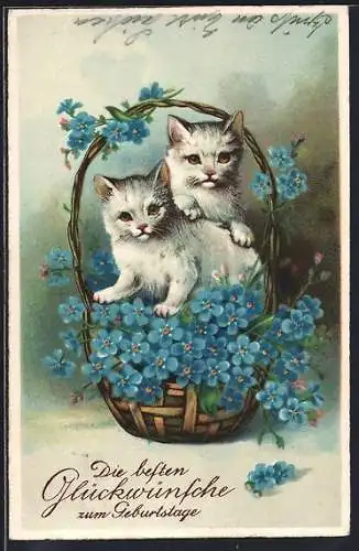 AK Zwei weisse Katzen in einem Korb mit Vergissmeinnicht