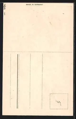 Präge-AK Maikäfer auf einem Birkenzweig, Pfingstgruss