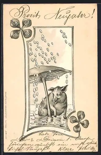 AK Schwein unterm Pilz geniesst warmen Geldregen