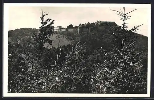 AK Hrad Helstýn, Blick auf die Burg