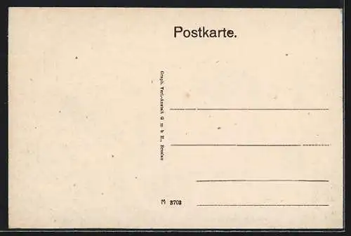 AK Falkenstein i. Vogtl., König Albert-Platz mit Rathaus