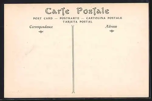 AK Chalons, Camp de Chalons, Artillerie de Campagne, Mise en Batterie de Pièces de 75 mm