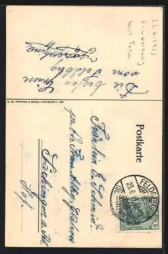 Künstler-AK Feldberg /Schwarzw., Friedrich Luisenturm und Wanderer
